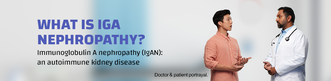 What is IgA Nephropathy? Immunoglobulin A nephropathy (igAN): an autoimmune kidney disease