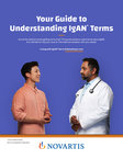 IgAN patient glossary